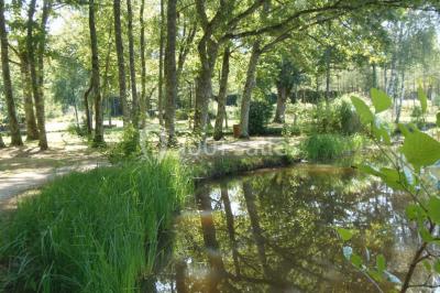 Location salle Neuvy-sur-Barangeon (Cher) - Domaine De La Grande Garenne #24