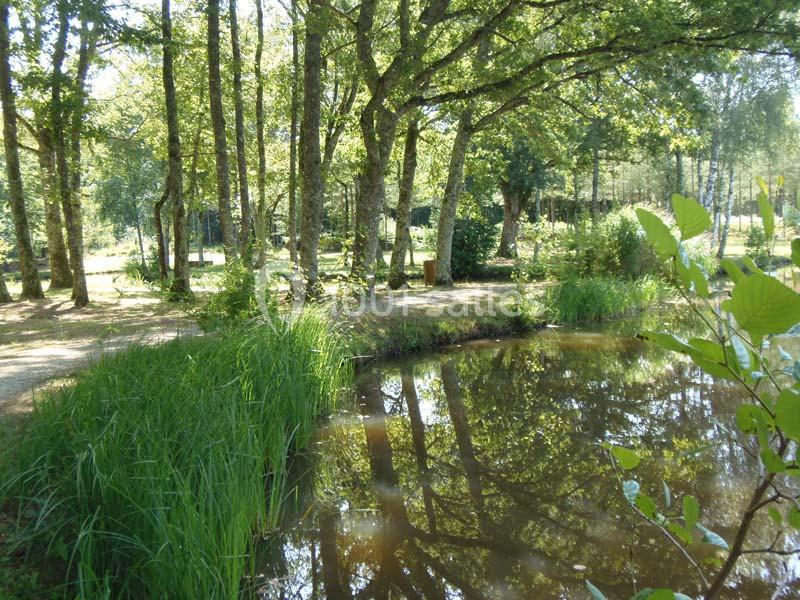 Location salle Neuvy-sur-Barangeon (Cher) - Domaine De La Grande Garenne #20