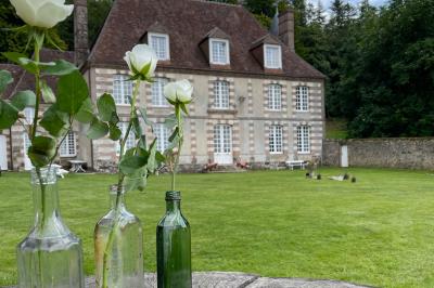 Salon rustique avec murs en pierre, canapés en cuir, table basse et porte ouverte donnant sur un jardin ensoleillé.