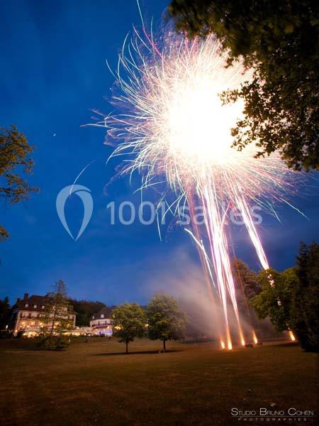 Feu d'artifice illuminant un ciel nocturne au-dessus d'un grand jardin avec une maison en arrière-plan.