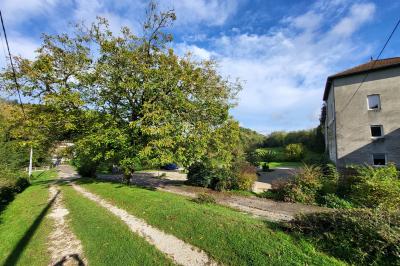Grande maison en pierre entourée de verdure, avec une cour ensoleillée et des arbres en arrière-plan.