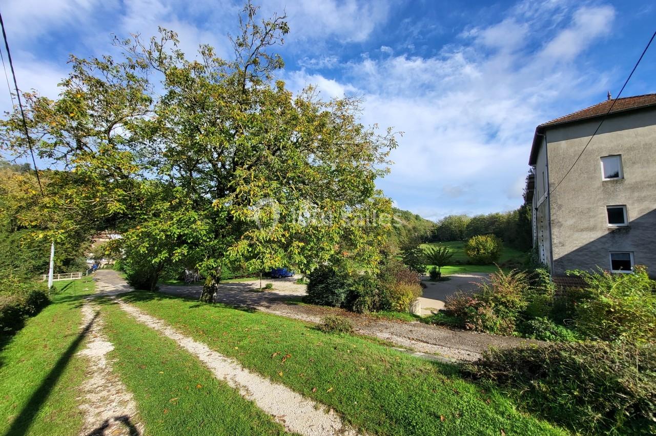 Chemin de gravier bordé de pelouse menant à un bâtiment, avec un grand arbre et un ciel partiellement nuageux.