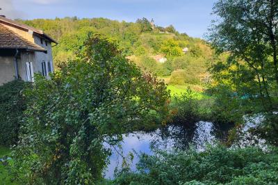 Grande maison en pierre entourée de verdure, avec une cour ensoleillée et des arbres en arrière-plan.