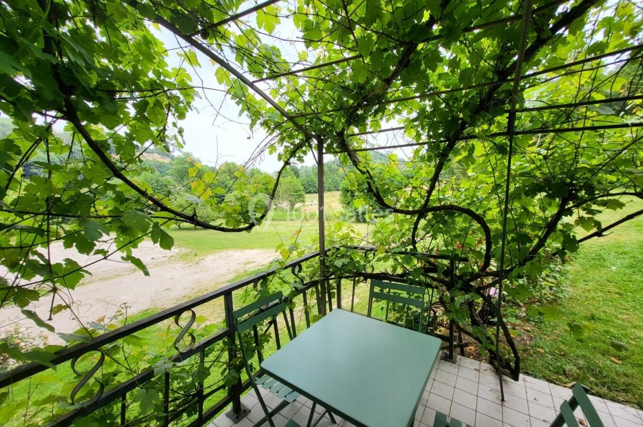 Table et chaises vertes sous une pergola couverte de vignes, avec vue sur un jardin verdoyant.