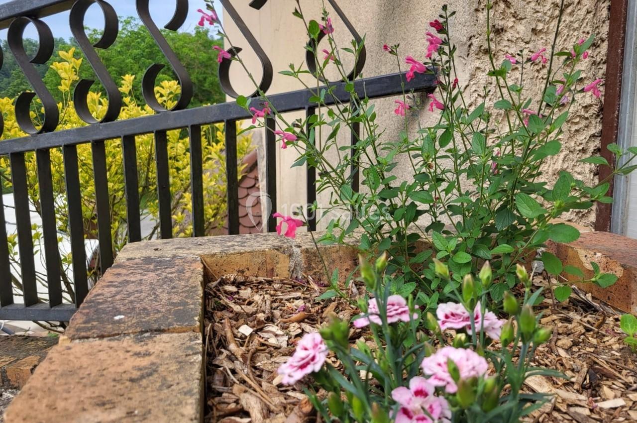 Fleurs roses dans un pot en terre cuite, près d'une rambarde en fer forgé et d'un mur beige, avec des arbres en arrière-plan.