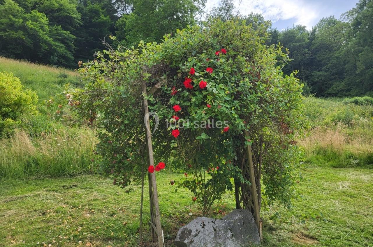 Arche en bois recouverte de rosiers rouges, entourée de verdure et d'herbes hautes dans un paysage champêtre.