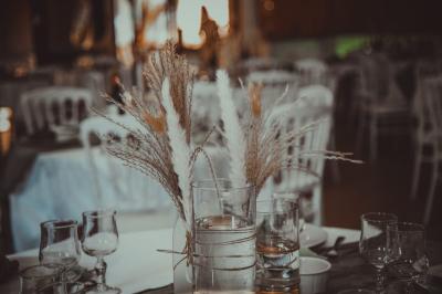 Grande maison en pierre entourée de verdure, avec une cour ensoleillée et des arbres en arrière-plan.