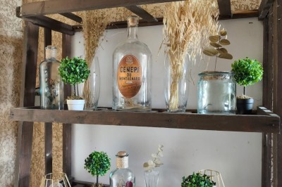 Grande maison en pierre entourée de verdure, avec une cour ensoleillée et des arbres en arrière-plan.