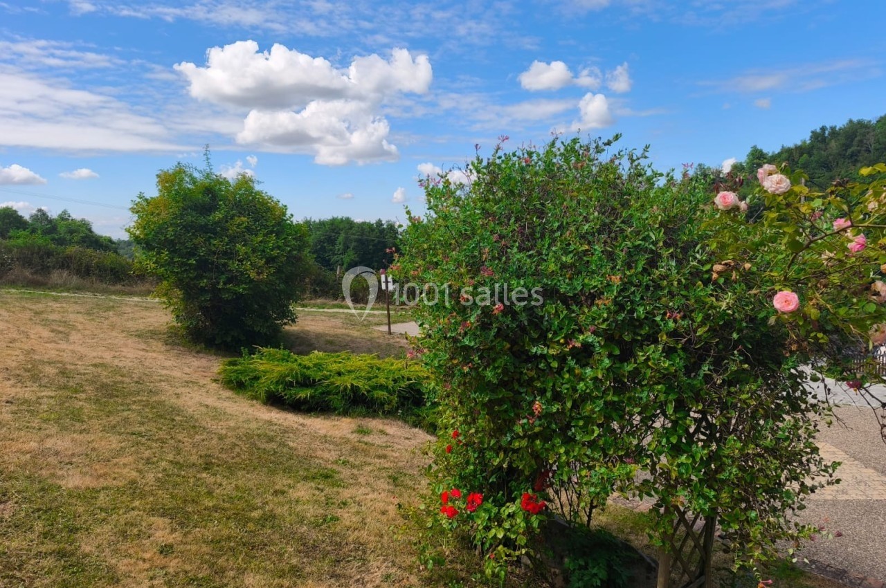 Arbustes fleuris et pelouse sous un ciel bleu partiellement nuageux dans un paysage naturel.