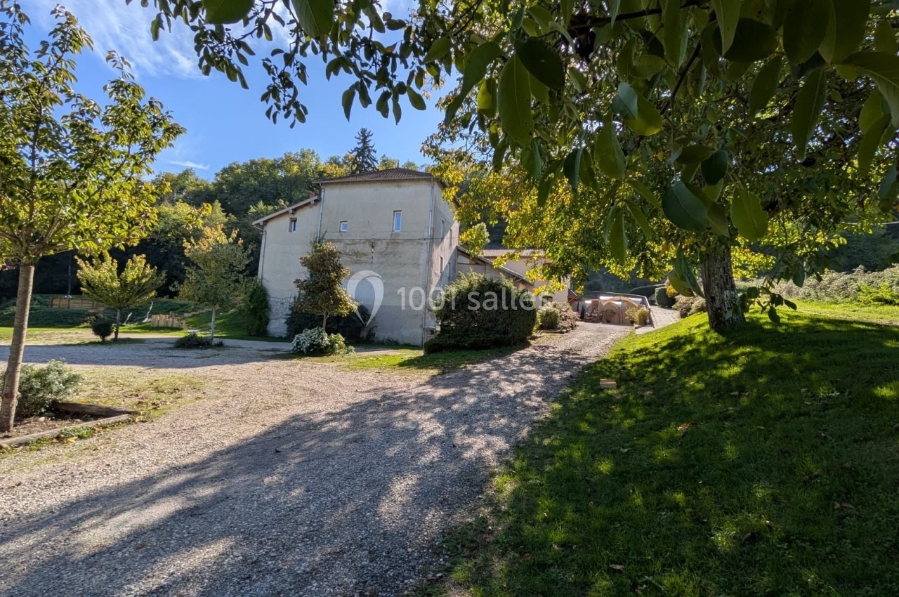 Chemin gravillonné menant à une maison en pierre entourée d'arbres et de végétation sous un ciel dégagé.