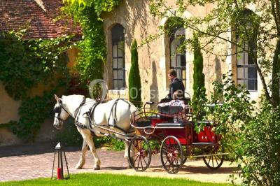 Location salle Saint-Pourçain-sur-Besbre (Allier) - Château de Beauvoir #21