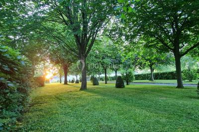 Pressoir ancien en bois dans une pièce avec murs en pierre, plafond à poutres apparentes et sol en parquet.