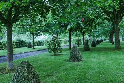 Pressoir ancien en bois dans une pièce avec murs en pierre, plafond à poutres apparentes et sol en parquet.