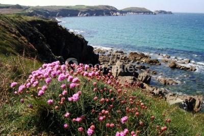 Location salle Le Conquet (Finistère) - Village Beauséjour – Rêves De Mer #18