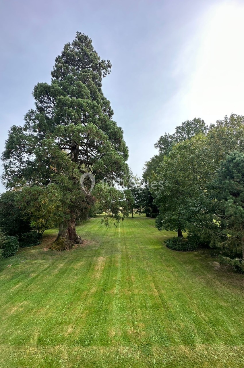 Pelouse verte bien entretenue entourée de grands arbres sous un ciel légèrement voilé.