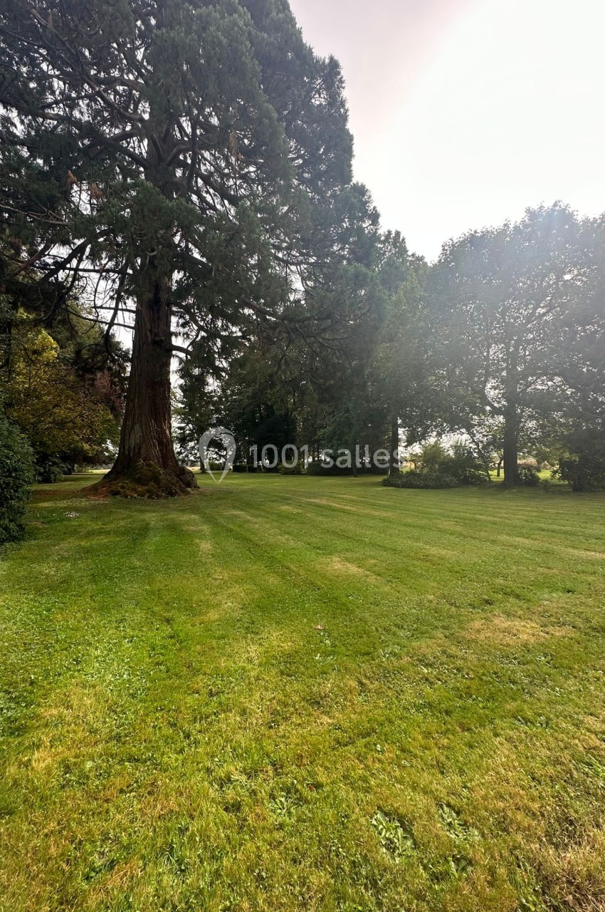 Pelouse verte entourée d'arbres sous un ciel légèrement voilé, dans un espace naturel ouvert.