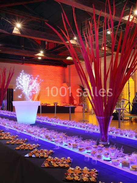 Location salle Chambéry (Savoie) - Centre de Congrès Le Manège #17