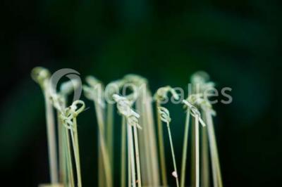 Location salle Montpellier (Hérault) - La Villa Mont Riant #13