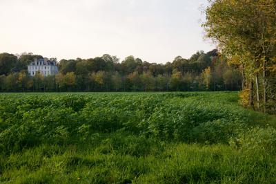 Champ verdoyant bordé d'arbres en automne, avec un grand bâtiment blanc visible à l'arrière-plan.