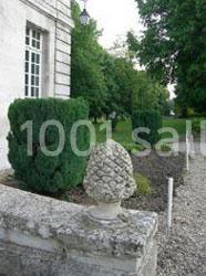 Location salle Hautot-sur-Seine (Seine-Maritime) - Château D'hautot Sur Seine #6