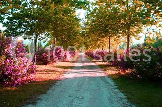 Location salle Opio (Alpes-Maritimes) - Le Pré L'eveque #9