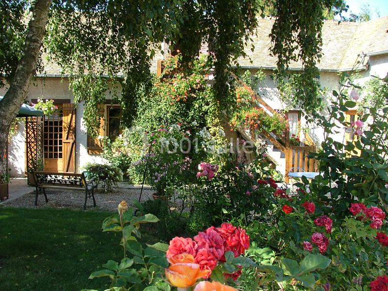 Cour fleurie avec rosiers, banc en métal, arbres et façade de maison en pierre ornée de plantes grimpantes.