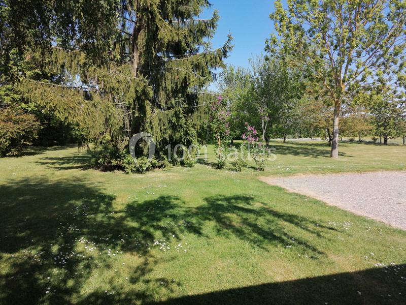 Pelouse verdoyante avec des arbres, un chemin de gravier à droite et des ombres projetées au sol par le soleil.