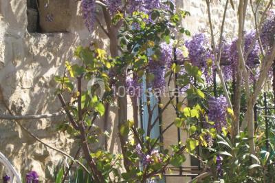 Location salle Nîmes (Gard) - Le Mas de Ponge #26