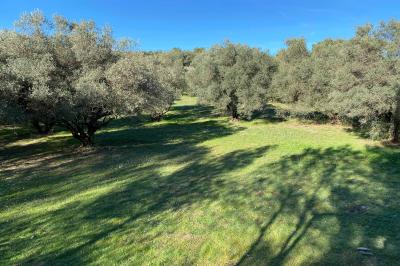 Dîner en plein air de nuit avec des guirlandes lumineuses, des invités assis autour de tables dans une cour en pierre.
