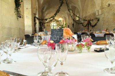 Location salle Ancy-le-Franc (Yonne) - Château d'Ancy Le Franc #22