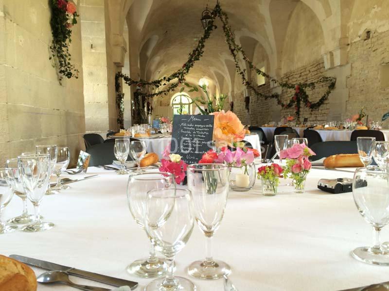 Location salle Ancy-le-Franc (Yonne) - Château d'Ancy Le Franc #13