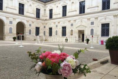 Location salle Ancy-le-Franc (Yonne) - Château d'Ancy Le Franc #22