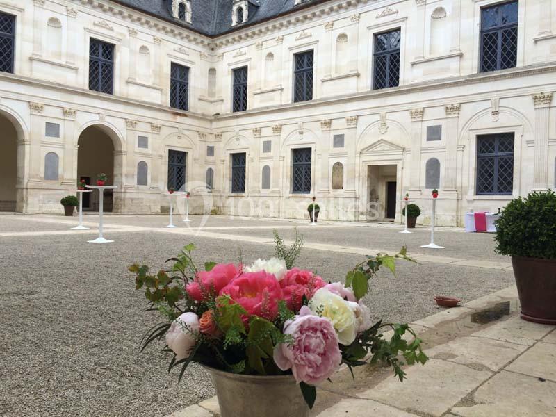 Location salle Ancy-le-Franc (Yonne) - Château d'Ancy Le Franc #7