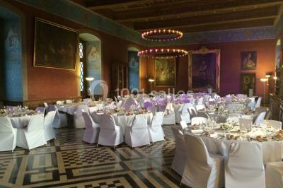 Location salle Ancy-le-Franc (Yonne) - Château d'Ancy Le Franc #22