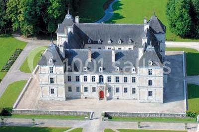 Location salle Ancy-le-Franc (Yonne) - Château d'Ancy Le Franc #22