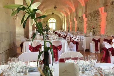 Location salle Ancy-le-Franc (Yonne) - Château d'Ancy Le Franc #22