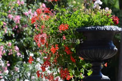 Location salle Bessan (Hérault) - Château de Saint Louis #12