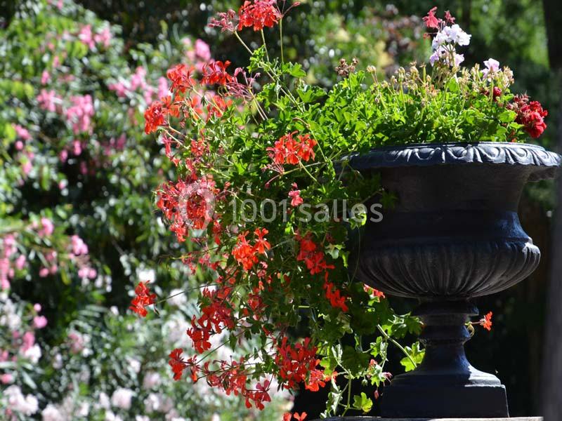 Location salle Bessan (Hérault) - Château de Saint Louis #11