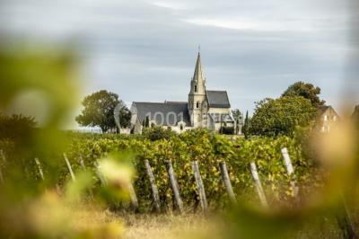 Location salle Saumur (Maine-et-Loire) - Bouvet Ladubay #17