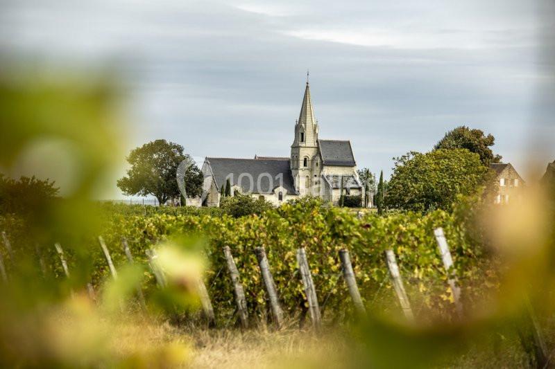 Location salle Saumur (Maine-et-Loire) - Bouvet Ladubay #13