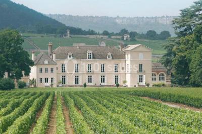 Château De Meursault Château De Meursault