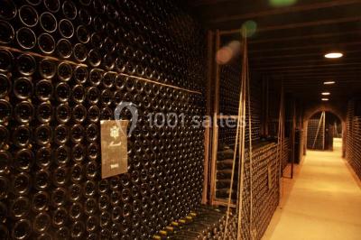 Location salle Meursault (Côte-d'Or) - Château De Meursault #24