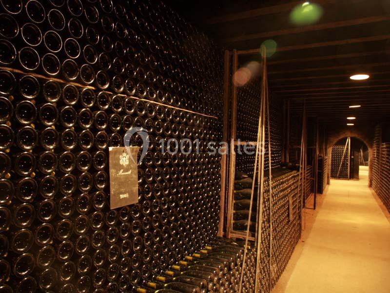 Location salle Meursault (Côte-d'Or) - Château De Meursault #10