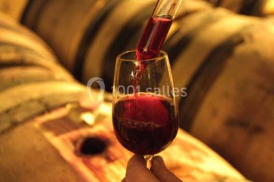 Location salle Meursault (Côte-d'Or) - Château De Meursault #24