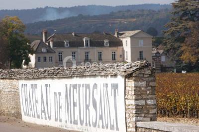 Location salle Meursault (Côte-d'Or) - Château De Meursault #24