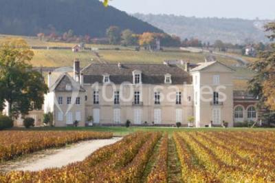 Location salle Meursault (Côte-d'Or) - Château De Meursault #24