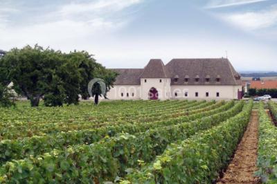 Location salle Marsannay-la-Côte (Côte-d'Or) - Château De Marsannay #24