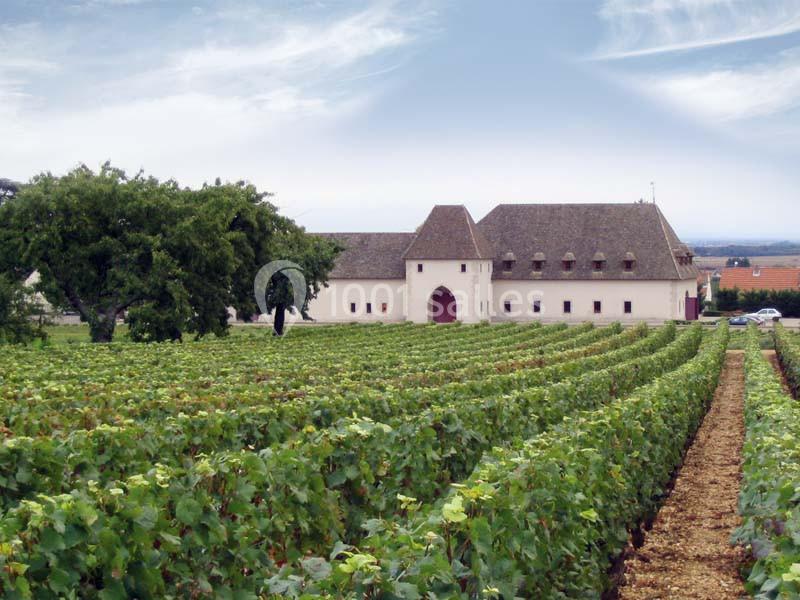 Location salle Marsannay-la-Côte (Côte-d'Or) - Château De Marsannay #2