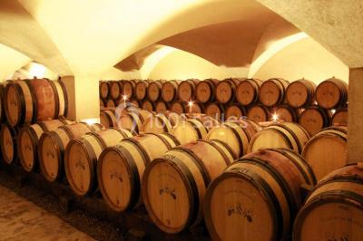 Location salle Marsannay-la-Côte (Côte-d'Or) - Château De Marsannay #24