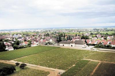 Location salle Marsannay-la-Côte (Côte-d'Or) - Château De Marsannay #24